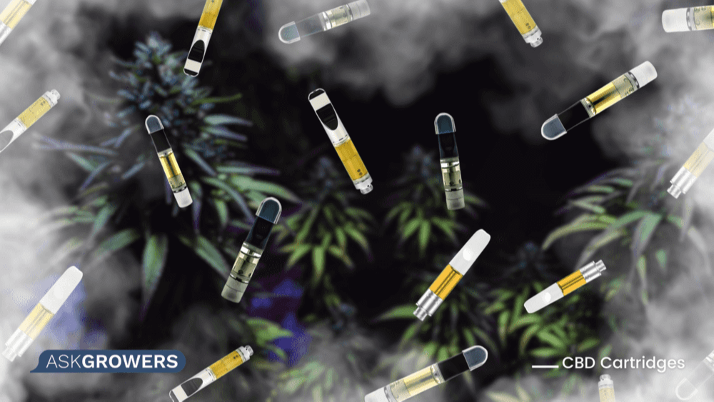 How Long Does a CBD Cartridge Last and What Factors Influence Duration